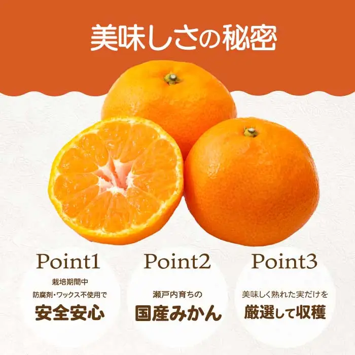 石地みかん 5kg 《2026年12月発送予定》栽培期間中 防腐剤 ワックス 不使用 おくはち農園 旬 柑橘 かんきつ フルーツ 果物 瀬戸内 166004
