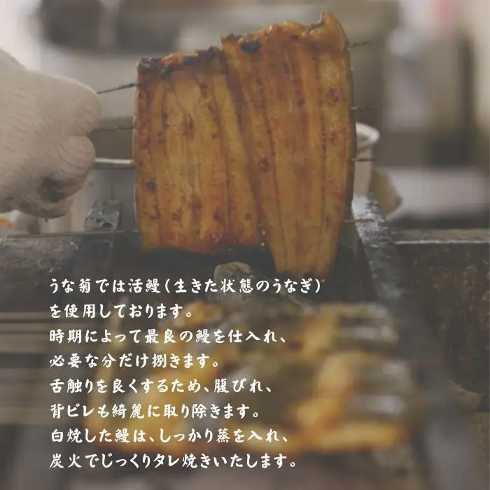 うなぎ 蒲焼 1尾 鰻うな菊