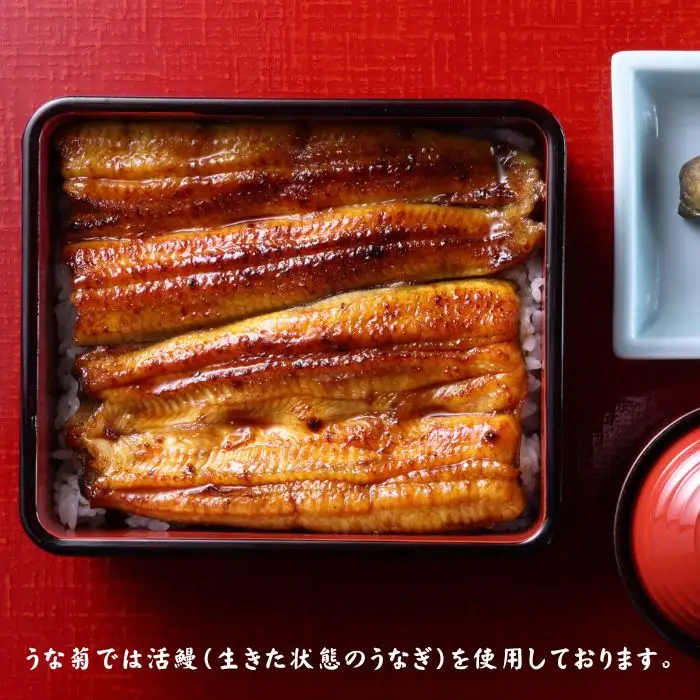 うなぎ うな重一尾 食事券 鰻うな菊 うなぎ