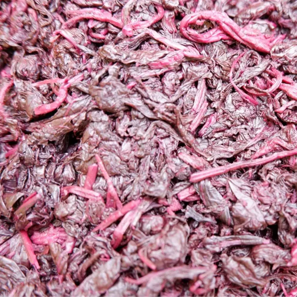 もみ紫蘇 200g 添加物不使用 / しそ シソ ウメ 梅干し 梅干 南高梅 紀州南高梅 和歌山県 田辺市 【aoi021】 