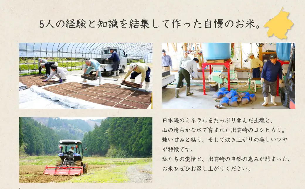 【新米】【先行予約】 新潟県産 コシヒカリ 5㎏ 〈10月中旬発送分〉令和8年産 | コシヒカリ 農事組合法人ファーム天領