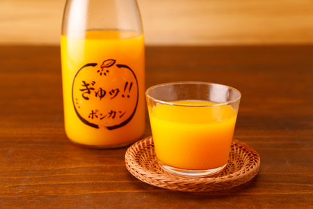いのうえ農園 ポンカンジュース2本セット ※離島への配送不可 IKTAI013