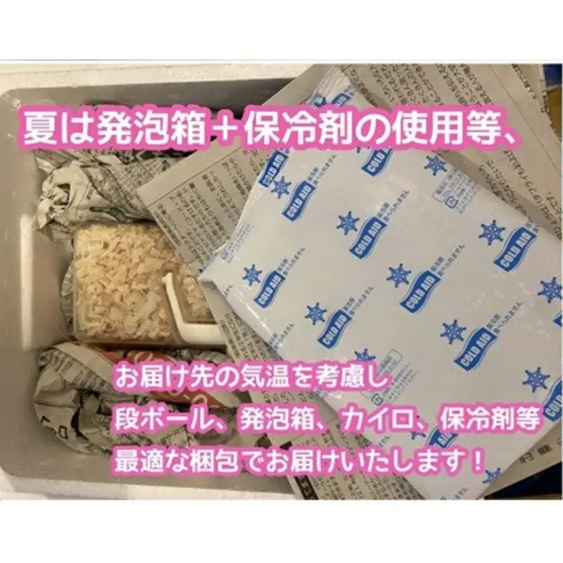 ヘラクレスオオカブト 成虫ペア オス（150mm台）メス（60mm以上） / ヘラクレス カブトムシ 昆虫 真庭市 【hrkrs001-01】