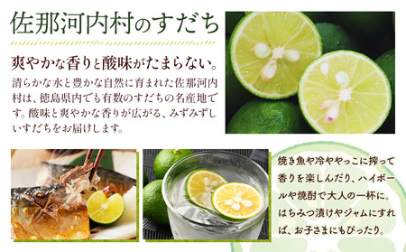  村の 訳あり 冷蔵すだち 2kg すだち