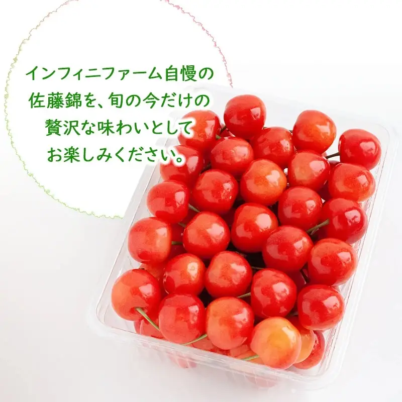 【令和9年産】 さくらんぼ 佐藤錦 バラ詰め 500g （2Ｌサイズ）山形県鶴岡産 インフィニファーム K-948