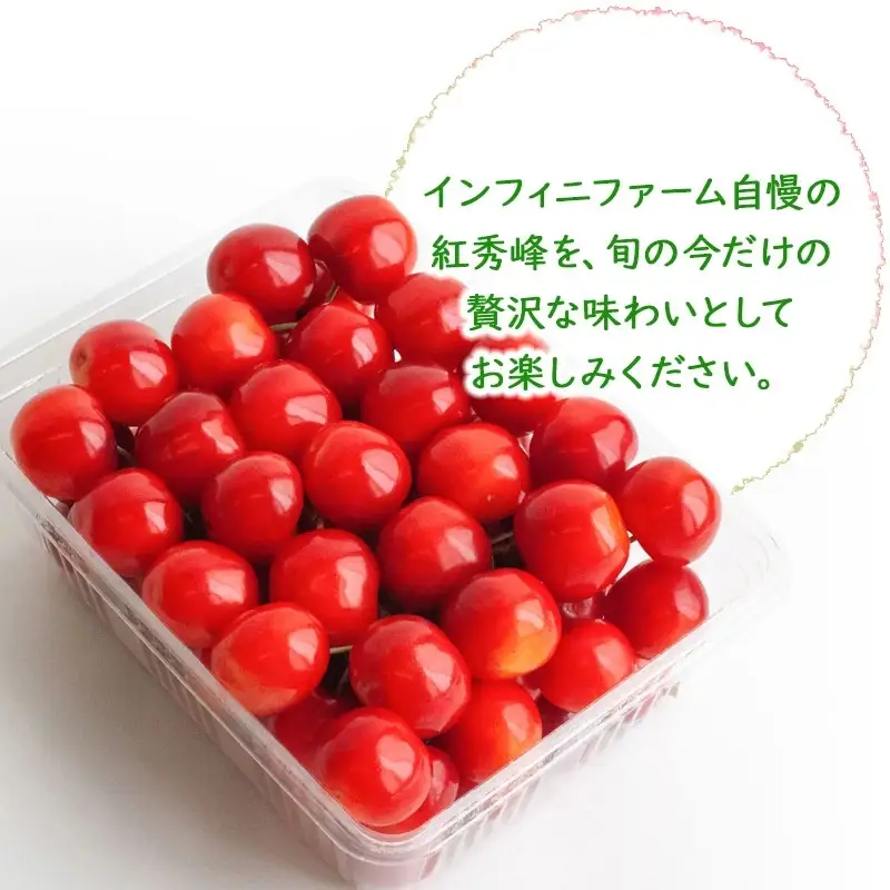 【令和9年産】さくらんぼ 紅秀峰 バラ詰め 500g(2Lサイズ～) 山形県鶴岡産 インフィニファーム K-948