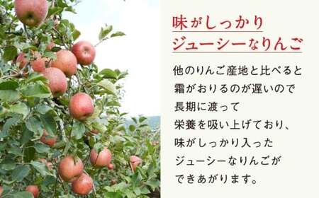 りんご 3kg 【品種おまかせ】 ★海の見えるりんご屋「つなぎ」★