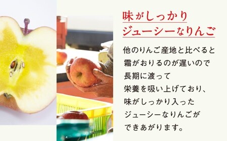 りんご 約2.5kg 【 品種 ふじ 】 果物 米崎りんご マルキヨファーム