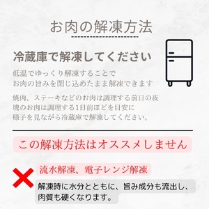 A5 A4 佐賀牛 100%挽肉 800g ハンバーグにおすすめ 100-J329