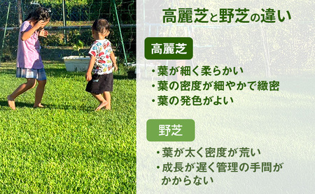 裾野芝（野芝）１0ロール（10m2）単位　芝 芝生 ガーデニング DIY 庭 天然 天然芝 裾野市 静岡県