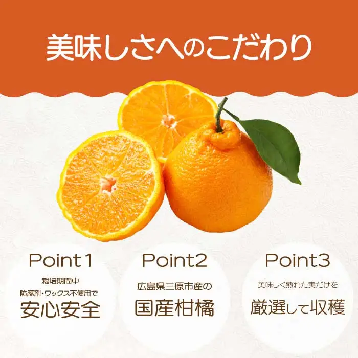 【おくはち農園】〈訳あり〉不知火 （しらぬい）2.5kg  《2027年3月～4月発送予定》栽培期間中 防腐剤 ワックス 不使用 旬 柑橘 かんきつ デコポン フルーツ 果物 瀬戸内 166009 