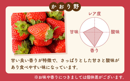 先行予約 2027年1月〜発送【3回定期便】3種の食べ比べ定期便(1) 【StrawberryFarm-K】[IBJ030]