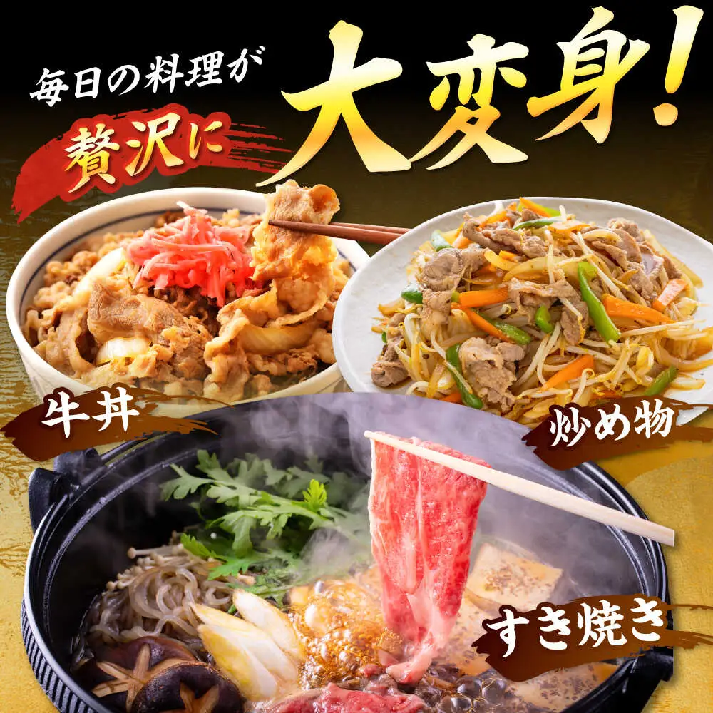 【A4-A5】博多和牛 大判霜降り 贅沢切り落とし 250g [BGAB108]