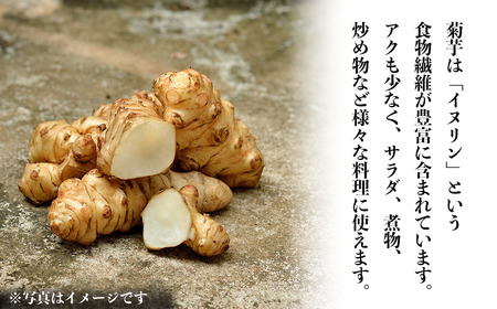 【先行予約 2027年1月発送開始】農薬・肥料不使用の菊芋 5kg | 菊芋