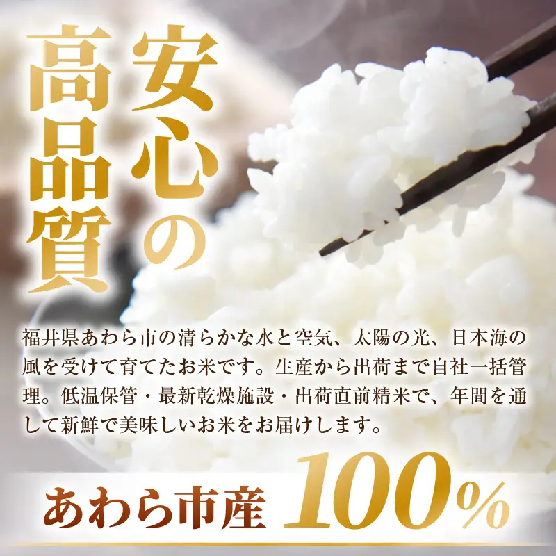 【令和7年産】あきさかり 精米 10kg × 1袋（計10kg） ／ 福井県産 ブランド米 ご飯 白米 お米 コメ 新鮮 [aw012-a043]