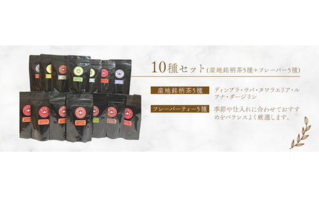 人気のリーフティー 50g×10種セット