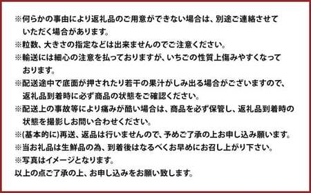 ティッシュボックス用 特別仕様の桐箱入り プレミアム あまおう 約400g×1パック あまおう いちご イチゴ 苺 果物 くだもの フルーツギフト お祝い 贈答用【2027年2月上旬～4月上旬発送予定】