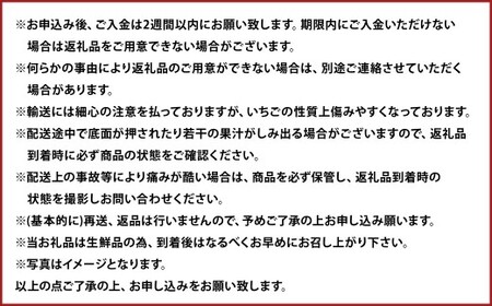 春のあまおう 2L・2A・G規格以上 約250～270g×4パック あまおう いちご イチゴ 苺 果物 くだもの フルーツ【2027年3月上旬～4月下旬発送予定】