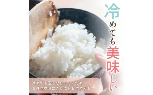 和歌山県産 キヌヒカリ 2kg（2026年産） / お米 きぬひかり 白米 由良町 令和8年 人気 おすすめ ※2026年9月上旬より順次発送予定【sml400-kinu-2A】