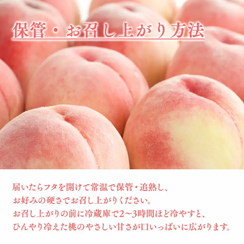 白桃 品種お任せ(あかつき/まどか/伊達白桃) 約２㎏(6-8玉)[hi-0064-003]