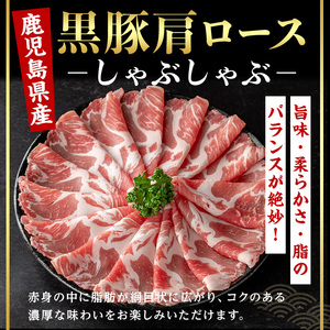 鹿児島県産 黒毛和牛 ロース × 黒豚 肩ロース しゃぶしゃぶ セット (合計1kg・各500g) 国産 牛肉 豚肉【肉のちょーさん】A949