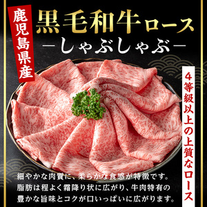 ＜14営業日 以内発送！＞鹿児島県産 黒毛和牛 ロース しゃぶしゃぶ用 セット (計500g・500g×1) 国産 牛肉【肉のちょーさん】A953