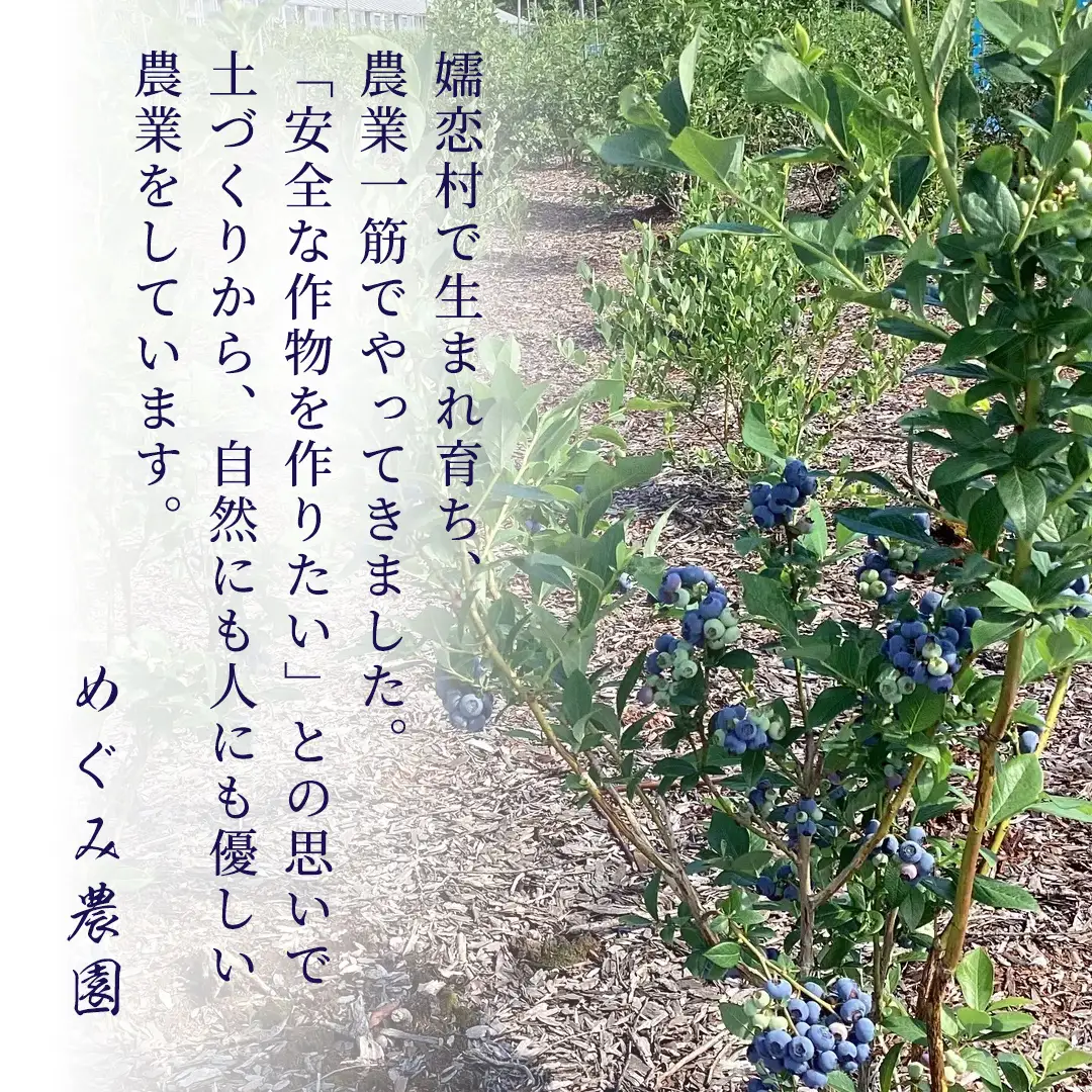 【 最短 7日以内 発送 】 冷凍ブルーベリー 大粒 1kg 数量限定 国産 フルーツ スムージー 果物 くだもの 農家直送 スイーツ アイス ノーザンハイブッシュ系 ミックス [AT015tu]