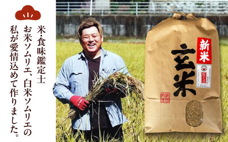 【玄米】あきたこまち 10kg【令和7年産】愛媛県大洲市/稲工房案山子[AGAV024]
