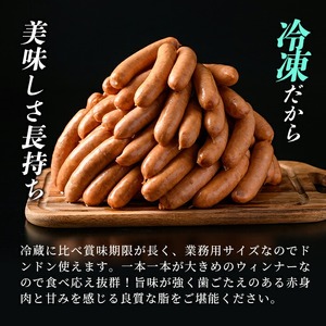 《業務用・訳あり》恵みウィンナー(合計4kg・1kg×4P) 国産 豚肉 ウインナー ソーセージ フランクフルト 惣菜 おかず 晩御飯 おつまみ 弁当 BBQ キャンプ 冷凍 訳あり 訳アリ 簡易包装 【ナンチク】_y570
