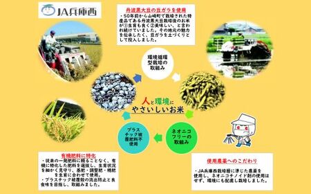 I11　キヌヒカリ 玄米　20Kg   数量限定 令和7年産 新米　美味しそう米　プレミアム【 お米 コメ きぬひかり 兵庫県 宍粟市 】