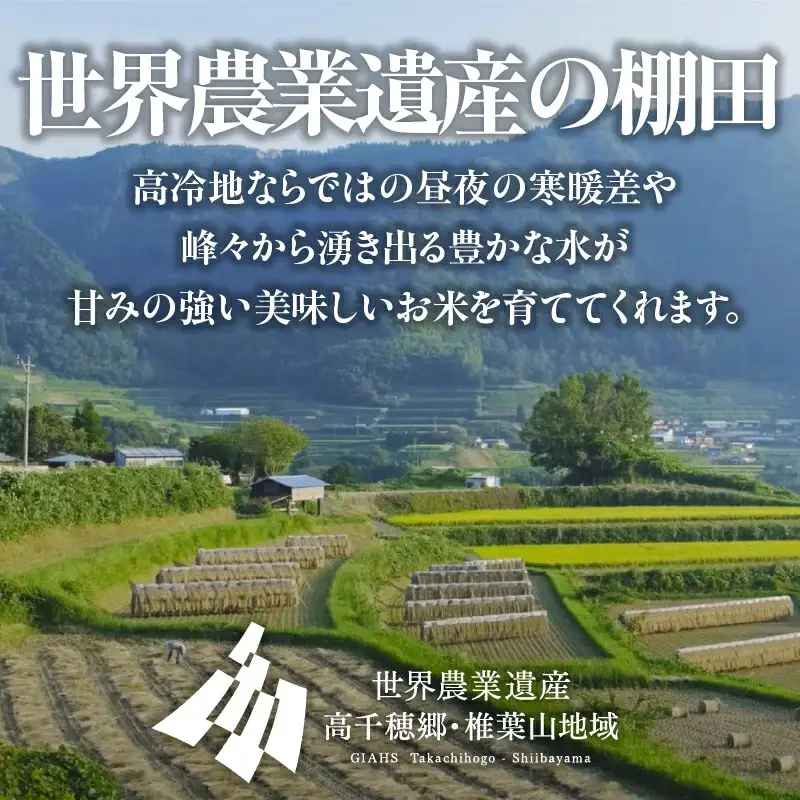 【令和7年産】JA高千穂地区 ひのひかり 5kg 高千穂産 5kg 1袋 食品 米 お米 白米 ごはん 白飯 精米 国産 宮崎県産 単一原料米 農作物 農産物 おすそ分け 普段使い 日常 炭水化物 主食 贈答 贈り物 ギフト プレゼント おすすめ 宮崎県 高千穂町 _Tk004-069