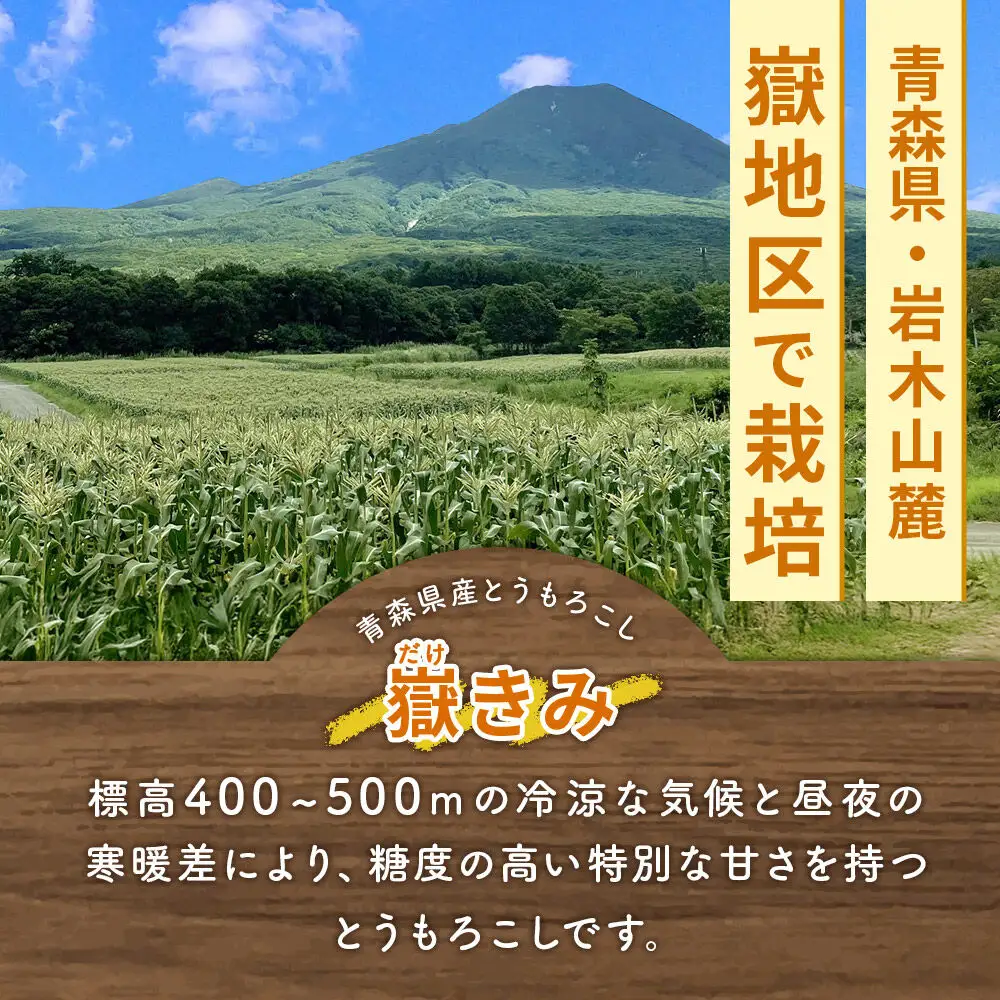 【26年10月中旬～発送】とうもろこし 嶽きみ真空パック Lサイズ 30本 しらかみラボ