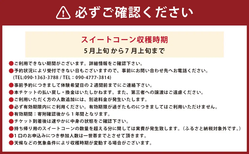 F5 アッキーファーム スイートコーン収穫体験 （スイートコーン20本込み） とうもろこし トウモロコシ 野菜 やさい 農作物 農業 体験 チケット 商品券 施設利用券 福岡県産 国産 福岡県 みやま市