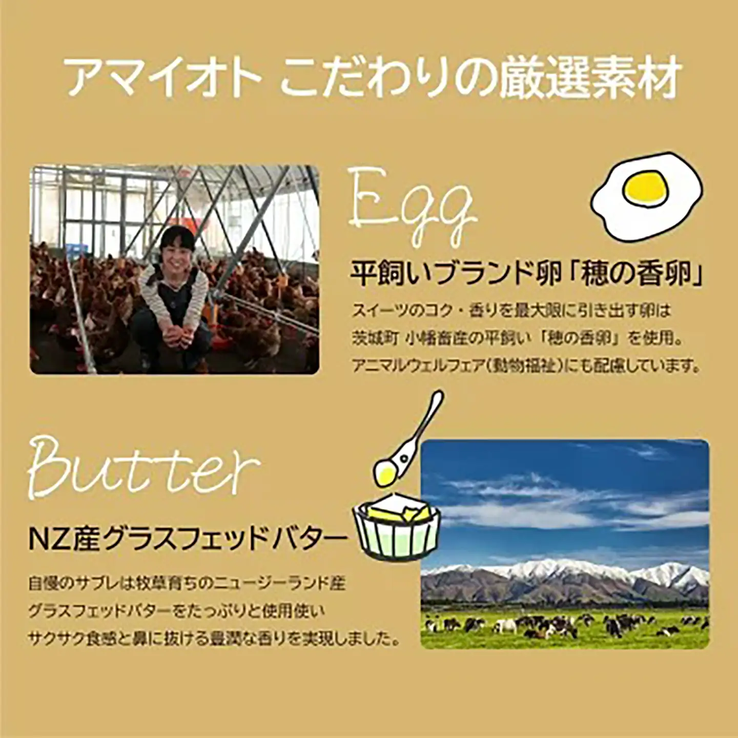 テリーヌ アマイオトの濃厚抹茶テリーヌサンド6個