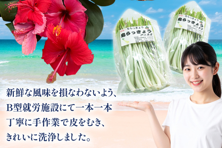 【期間限定発送】 島らっきょう 生 皮むき 250g 2袋 計 500g