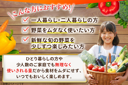 AJ313 野菜セット 5～7品目 しそジュース付き