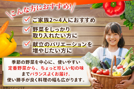 AJ314 季節の野菜・果物セット 8～10品 しそジュース付き