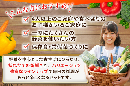 AJ315 季節の野菜・果物セット 13～15品 しそジュース付き