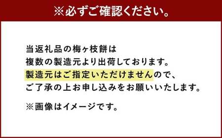 【太宰府名物】 梅ヶ枝餅 10個入り 餅 もち お餅 おもち 餡子 あんこ 焼餅 焼き餅 お菓子 おかし お土産 ギフト プレゼント おすすめ 冷凍