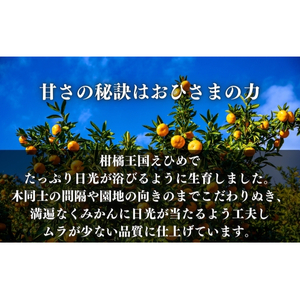 せとか 約1.5kg ご家庭用 サイズお任せ 今が旬 農園直送 みかん 人気 数量限定 先行予約 柑橘 蜜柑 ミカン 愛媛みかん かんきつ 国産 愛媛県
