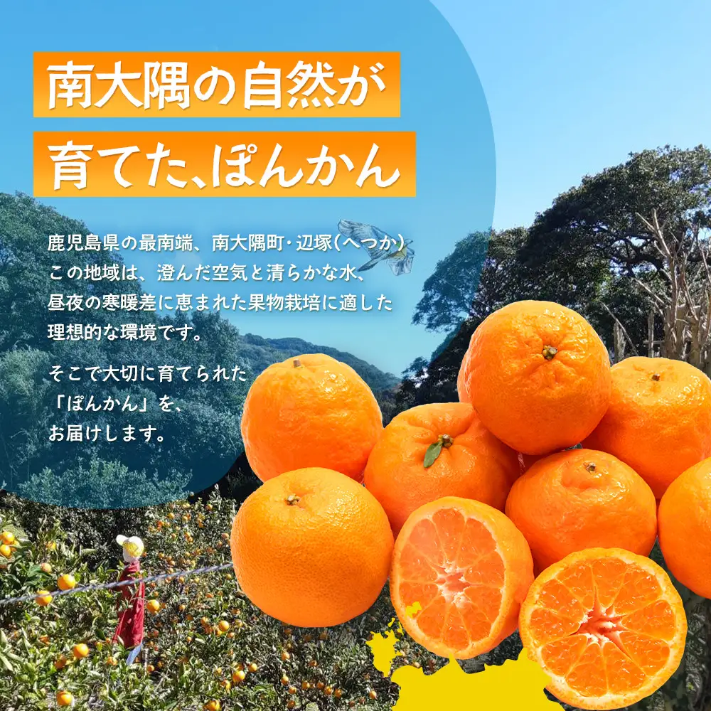 【訳あり】※先行予約・数量限定※ 南大隅の太陽浴びた甘くて・おいしい ぽんかん 約5kg≪2027年1月中旬以降発送予定≫ ID-2｜訳あり 訳アリ ぽんかん ポンカン 柑橘 カンキツ 柑橘類 詰め合わせ 産地直送 おすすめ 人気 南大隅町