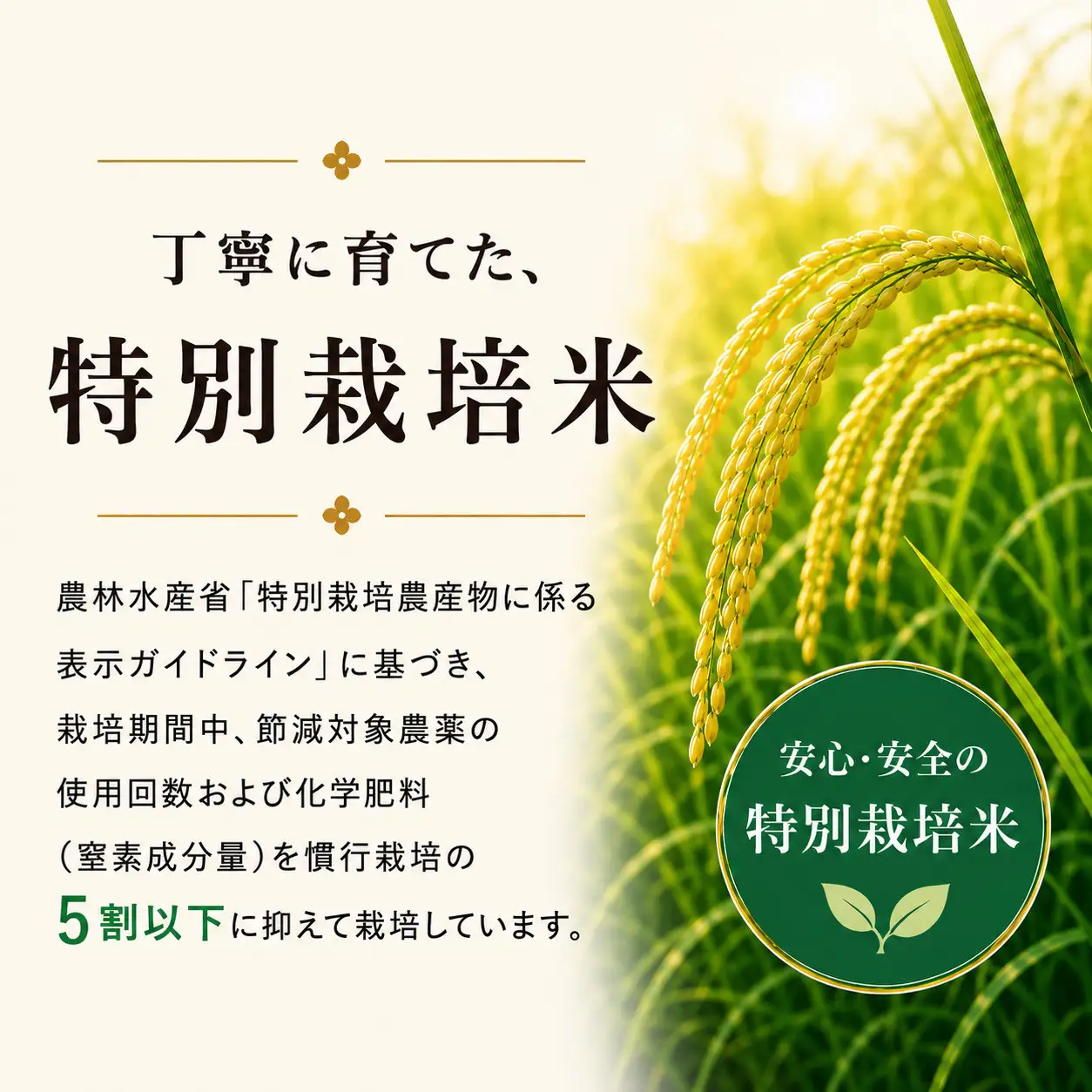 【6カ月定期便】 新潟産コシヒカリ 特別栽培米 5kg×6回（計30kg）｜一粒一粒に甘み広がるおいしさ