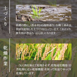 【令和8年産 新米】＜先行予約受付中！R8年9月下旬から順次発送予定＞お米農家直送！ササニシキ 5kg お米 おこめ 米 コメ 白米 ご飯 ごはん おにぎり 宮城米 ささにしき 令和8年産 お弁当 【お米農家ろくすみファーム】 ta522