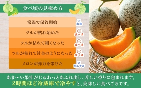 【2027年夏発送】北海道 赤肉メロン 北の女王 秀品 約1.6kg×1玉 令和9年 メロン 果物 フルーツ 旬 季節 希少 貴重 甘い 豊潤 国産 デザート ご褒美 産地直送 ギフト お祝い 贈答品 贈り物 お中元 常温 お取り寄せ 送料無料