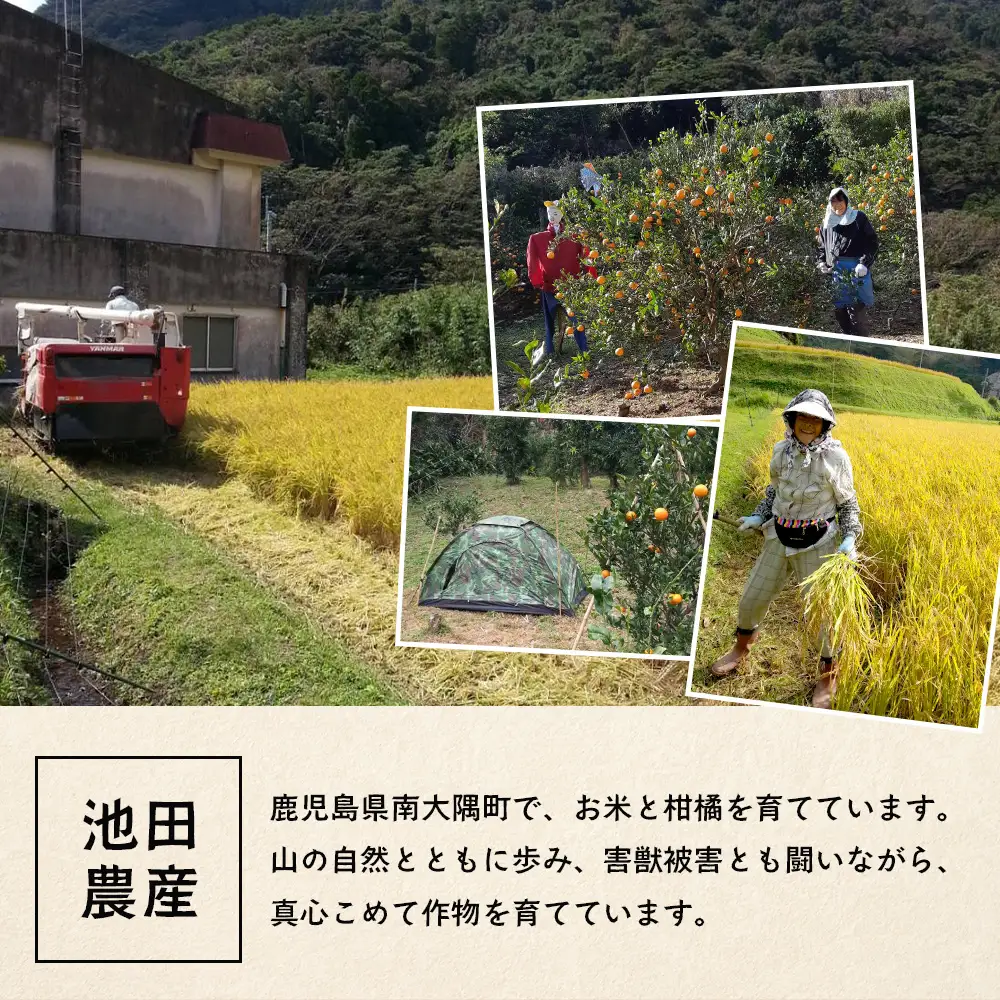 【訳あり】※先行予約・数量限定※ 南大隅の太陽浴びた甘くて・おいしい タンカン 約5kg≪2027年2月中旬以降順次発送≫ ID-3｜訳あり 訳アリ たんかん タンカン 柑橘 カンキツ 柑橘類 詰め合わせ 産地直送 先行予約 おすすめ 人気 南大隅町
