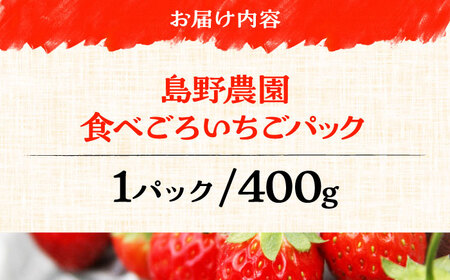 【先行予約】【数量限定40セット】島野農園のいちご（400g×1パック） 紅ほっぺ ほしうらら 【島野農園】[AKHV001]