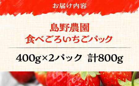 【先行予約】【数量限定20セット】島野農園のいちご（400g×2パック） 紅ほっぺ ほしうらら 【島野農園】[AKHV002]