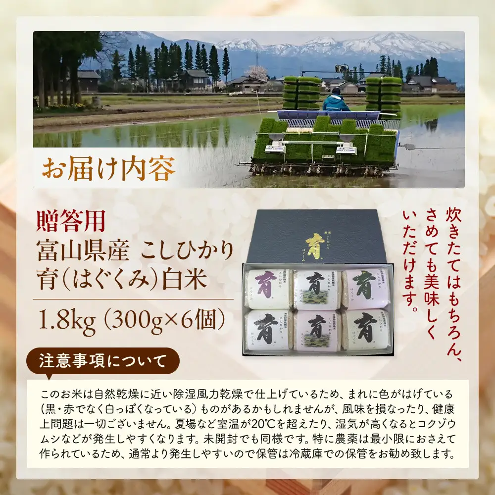 【令和8年産】富山県産こしひかり　育（はぐくみ）贈答用　300ｇ（２合）６個入り《南砺の逸品》