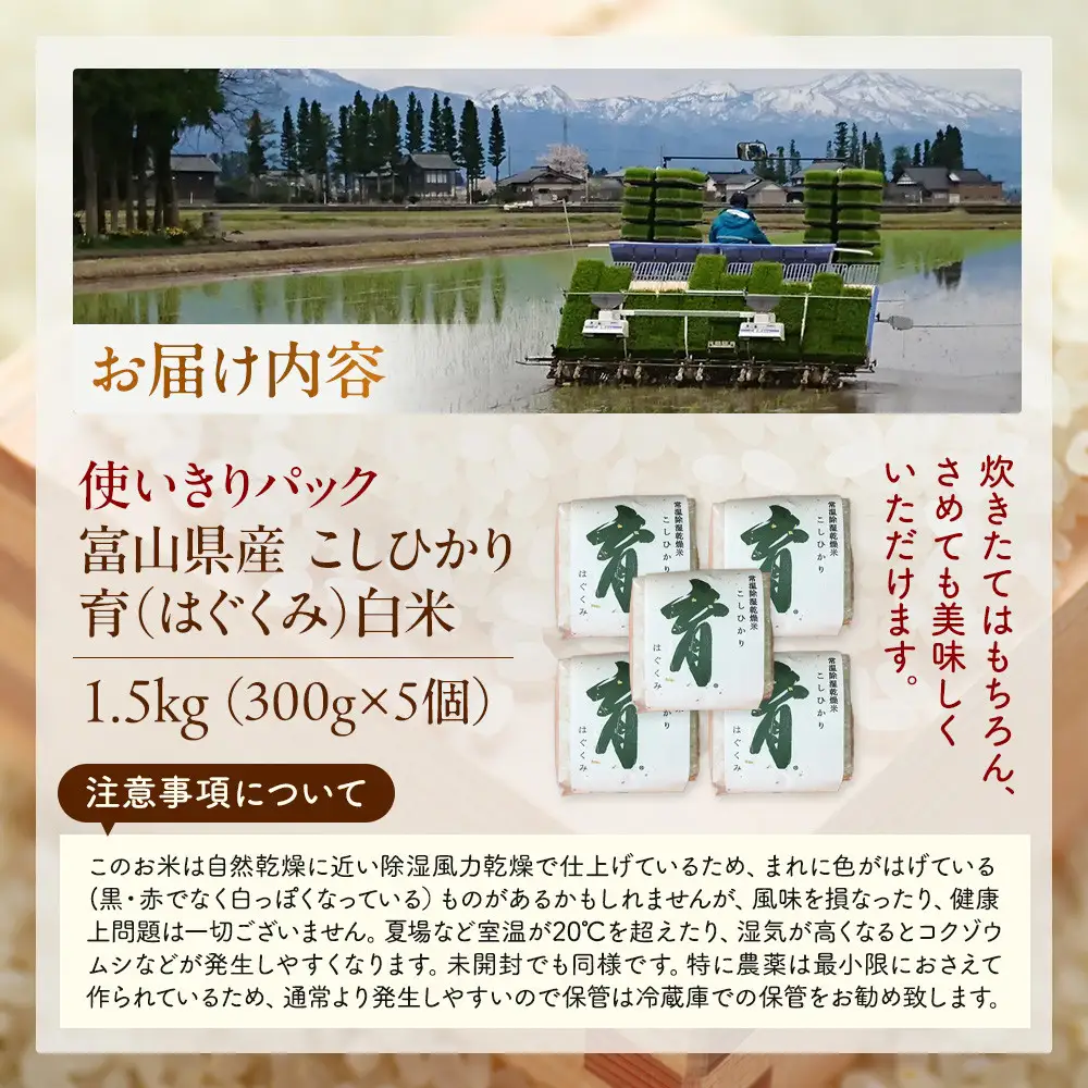 【令和8年産】使いきりパック  富山県産こしひかり 　育（はぐくみ）  白米300ｇ（2合）5個セット《南砺の逸品》