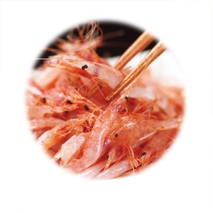 生桜えび100g×3パック 合計300g (a10-1249)